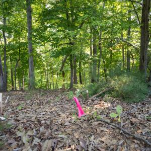 Lot 1 Sweetbriar Bay Dr-11