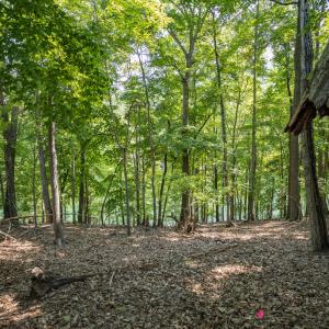 Lot 1 Sweetbriar Bay Dr-3