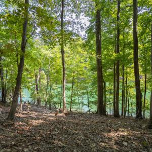 Lot 1 Sweetbriar Bay Dr-5