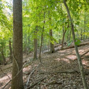 Lot 1 Sweetbriar Bay Dr-9