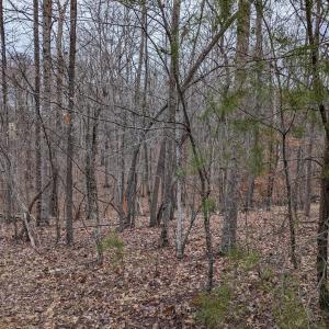 PXL_20240123_220250067