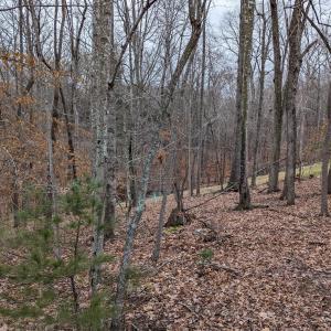 PXL_20240123_220304073