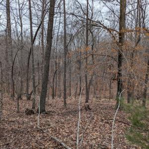 PXL_20240123_220307321