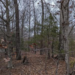 PXL_20240123_220403214