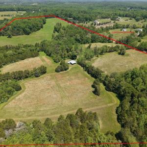 Photo #4 of 4266 INDIAN RUN RD, AMISSVILLE, VA 90.7 acres