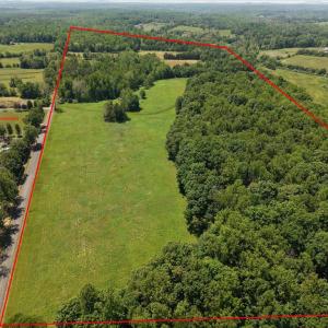 Photo #2 of 4266 INDIAN RUN RD, AMISSVILLE, VA 90.7 acres