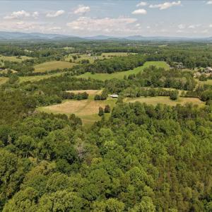 Photo #5 of 4266 INDIAN RUN RD, AMISSVILLE, VA 90.7 acres