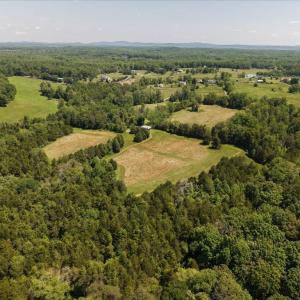 Photo #13 of 4266 INDIAN RUN RD, AMISSVILLE, VA 90.7 acres