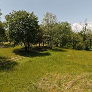 Photo #12 of 4266 INDIAN RUN RD, AMISSVILLE, VA 90.7 acres