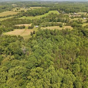 Photo #16 of 4266 INDIAN RUN RD, AMISSVILLE, VA 90.7 acres