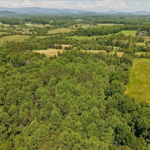 Photo #15 of 4266 INDIAN RUN RD, AMISSVILLE, VA 90.7 acres
