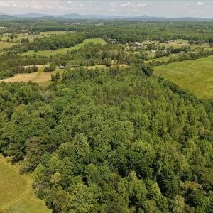 Photo #14 of 4266 INDIAN RUN RD, AMISSVILLE, VA 90.7 acres