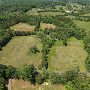 Photo #7 of 4266 INDIAN RUN RD, AMISSVILLE, VA 90.7 acres