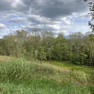 Lot 27 Plybon Lane, Wirtz, VA