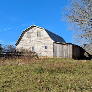 PXL_20241113_174956106.PORTRAIT.ORIGINAL