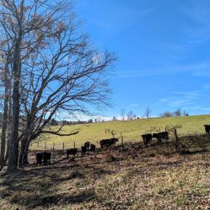 PXL_20241113_173131181~2