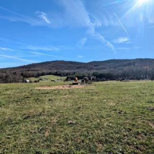 PXL_20241113_173659084~2