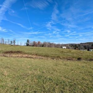 PXL_20241113_173825475~2