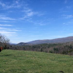 5ead5988-94c0-40d0-9f82-f441727c0106