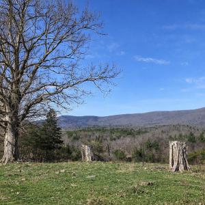 1da0c069-9095-4716-9508-af41925e3c64