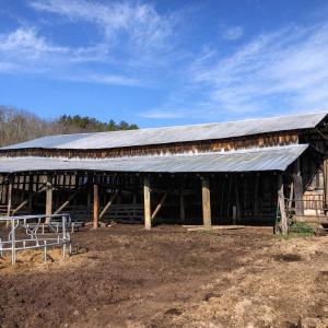 9b43586d-0180-4d38-9990-20f2e745f0d7