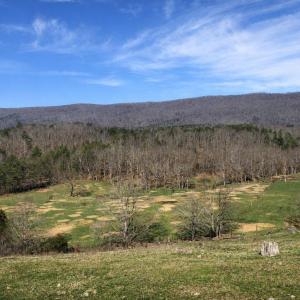 24cd5209-fc12-49e8-8127-b993b638e999