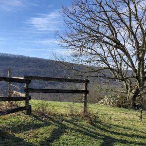 da872829-5945-46ef-92ff-627689964c5b