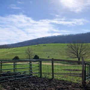 fb9ab344-6382-47d6-98f0-7a250f88bad3