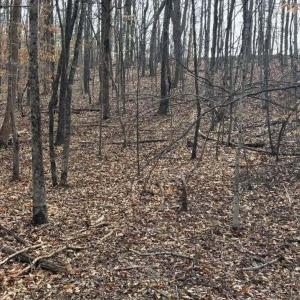 628348470_34317513484506685_703753211939