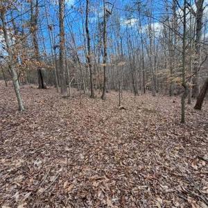 627056564_2764554050550134_3193530806056