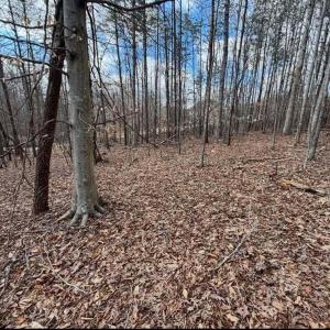 628019370_764583726703503_72603337575246