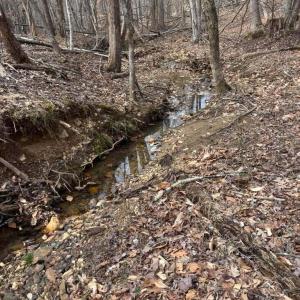 626765986_882800477862560_62604041974298