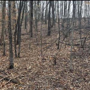 627268103_918891393992752_47589976746900