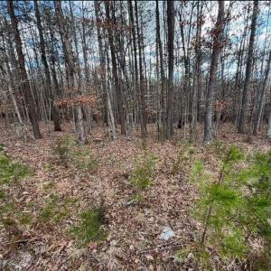 627753214_3022878957915103_1517840943974