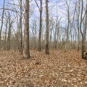 Photo #12 of 7389 LEEDS MANOR RD, MARSHALL, VA 101.0 acres