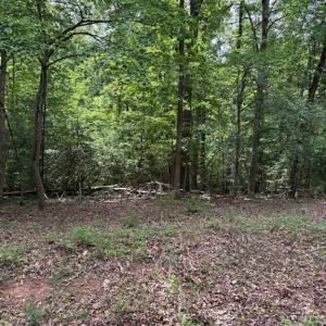 Photo #8 of 1 RAPIDAN RD, LOCUST GROVE, VA 4.1 acres