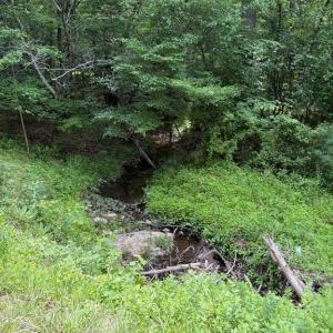 Photo #2 of 1 RAPIDAN RD, LOCUST GROVE, VA 4.1 acres