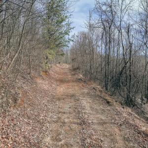 DJI_20260217122106_0127_D