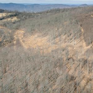 DJI_20260217120815_0102_D