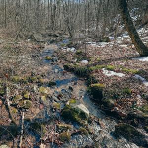 DJI_20260217115107_0078_D