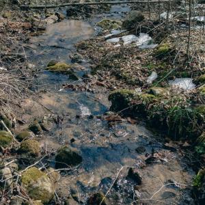 DJI_20260217115042_0077_D