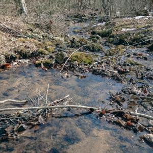 DJI_20260217114958_0075_D