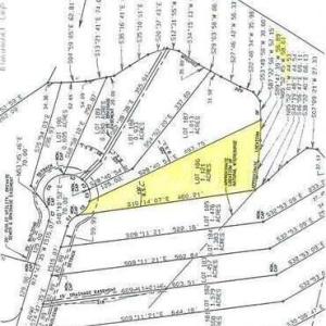 20250113215923553199000000-o