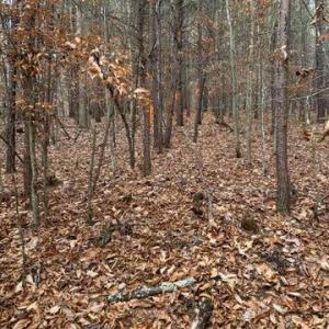 20250113215941282446000000-o