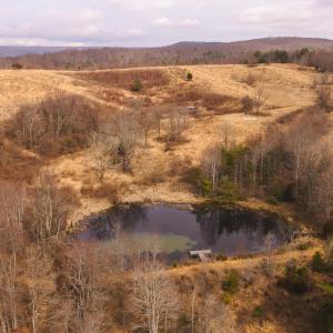 DJI_20260304114630_0517_D