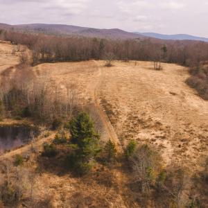 DJI_20260304114640_0518_D