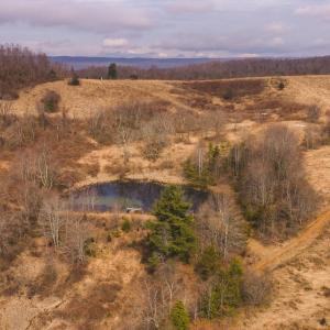 DJI_20260304114700_0520_D