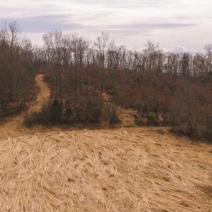 DJI_20260304114855_0525_D