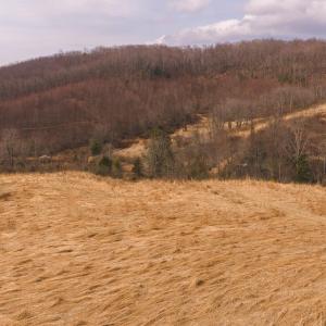 DJI_20260304114904_0526_D