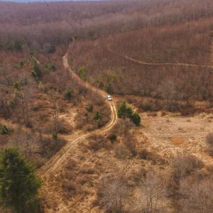 DJI_20260304115005_0530_D